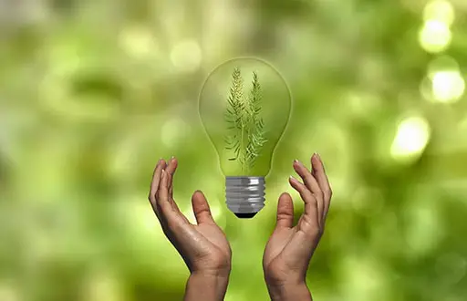 ISO 50001 Certification in UAE