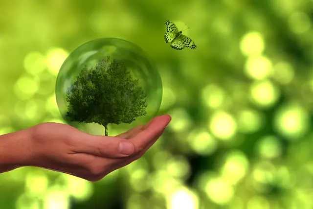 ISO 14001 certification in UAE