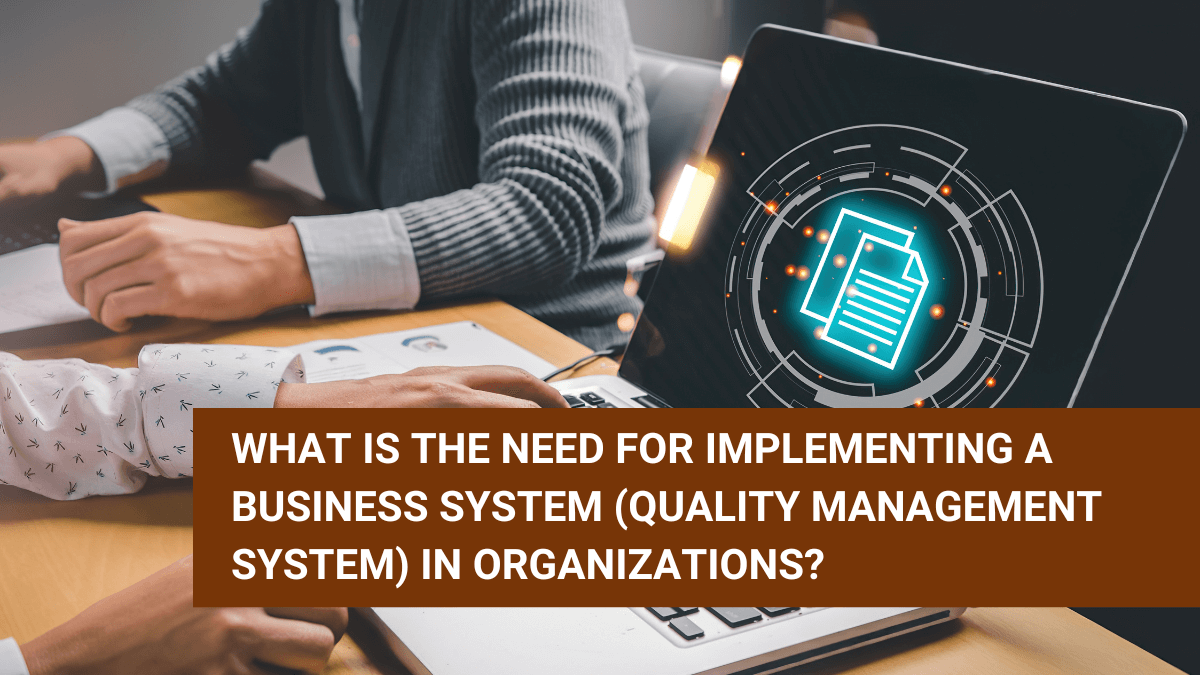 Implementing Business System